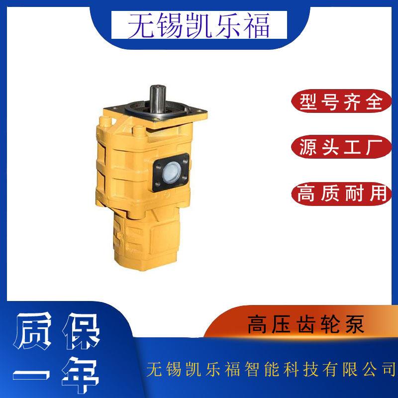 矿运铲车油泵CBGj2040/40吊车油泵CBGj2063/2040A双联齿轮泵