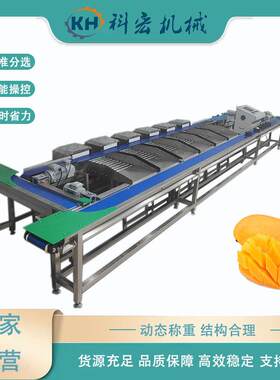 山东科宏无损分选机水蜜桃无损分选香梨西瓜重量分选智能分拣