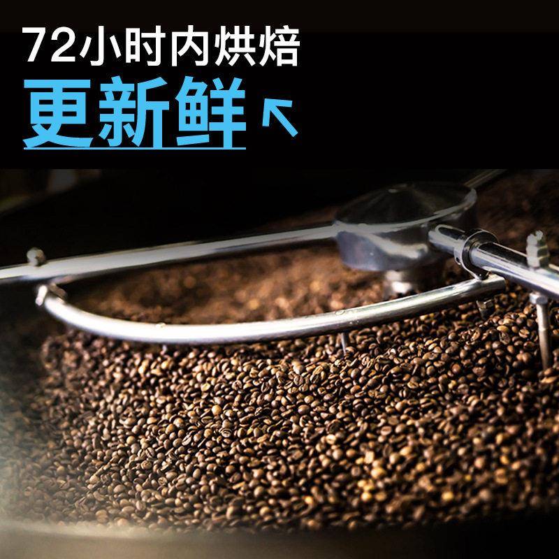 猫屎风味咖啡豆商用 品质豆新鲜烘焙 黑咖啡可磨粉454克