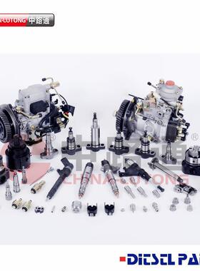 油泵泵头总成 22100-1C380 VE6/10F1900RND417 VE泵总成