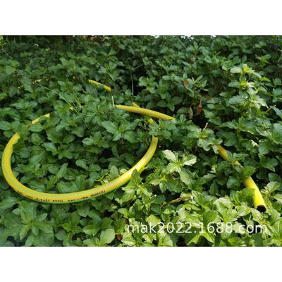洗车水管供应浇灌耐寒柔软佛山花园厂家软管佛山园林四季园艺 pvc