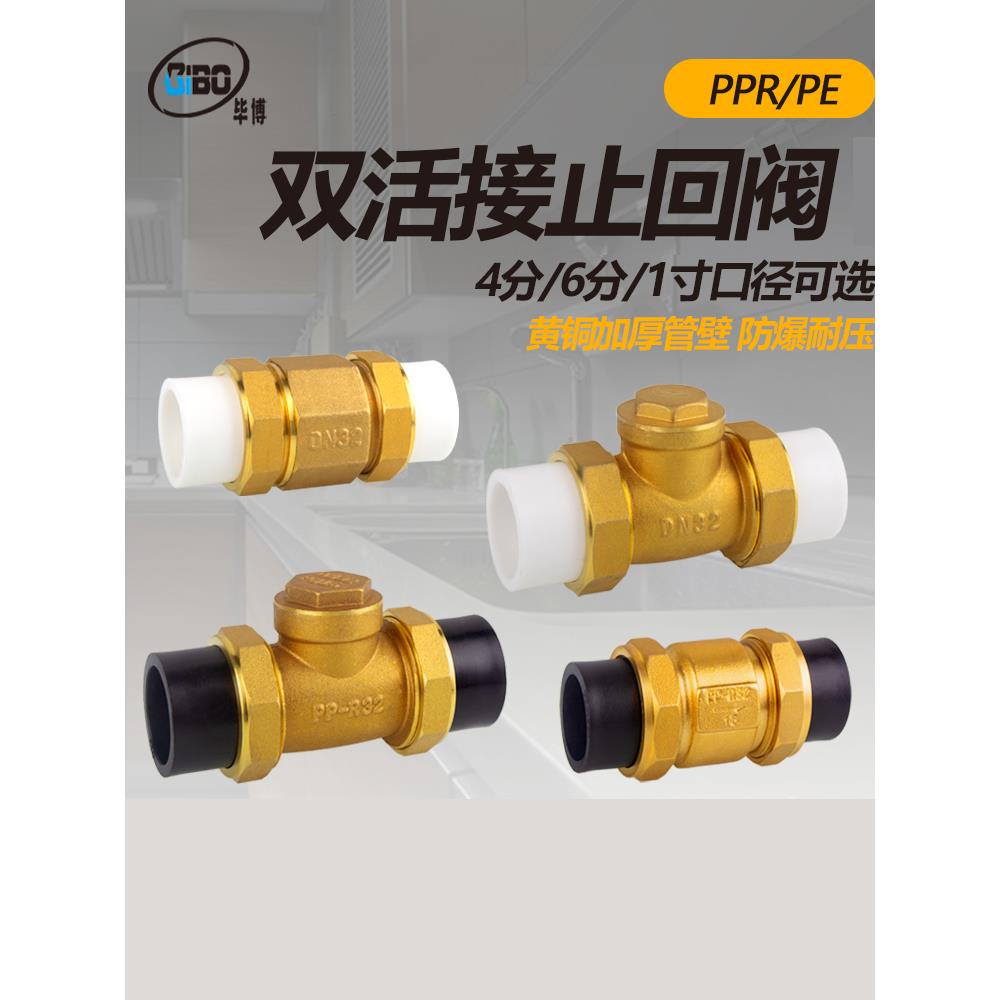 PE止回阀PPR铜卧立式双活接单向阀逆止自来水管表4/6分DN20/25/32