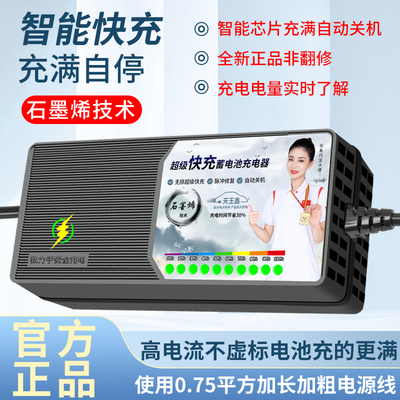 哈啰电动车电瓶充电器专用48V12A60V20AH72V80V96V32A40A三轮通用