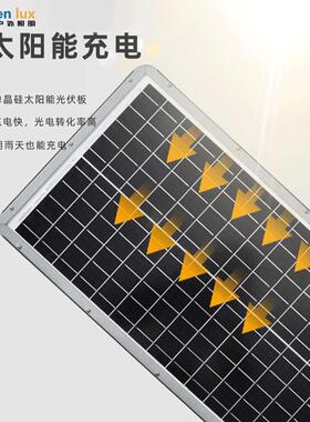 程菲律指定款太阳能一KEL体化庭院灯新农村工路防水led宾太阳能灯