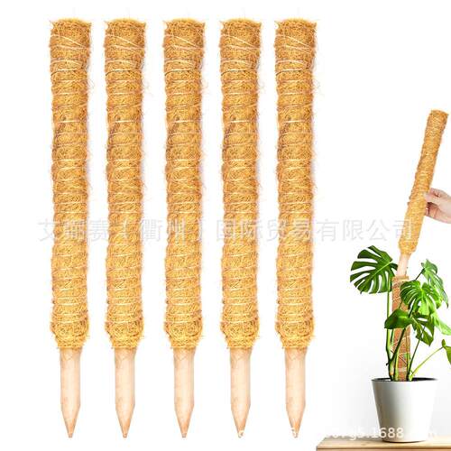 手工制作无乳胶植物攀爬杆爬藤椰棕棒可延长椰棕绿萝园艺支柱