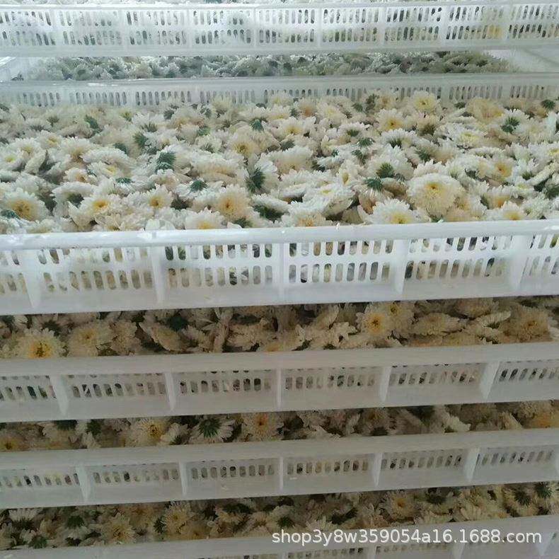 煤电两用的系列菊花烘干设备玫瑰花烘干箱甘草烘干机