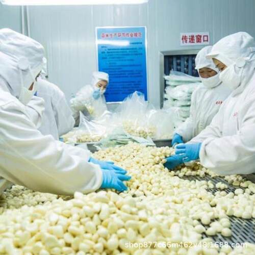 商用大蒜去皮机无损伤气脱皮蒜米加工设备剥蒜机无划痕大蒜剥皮机