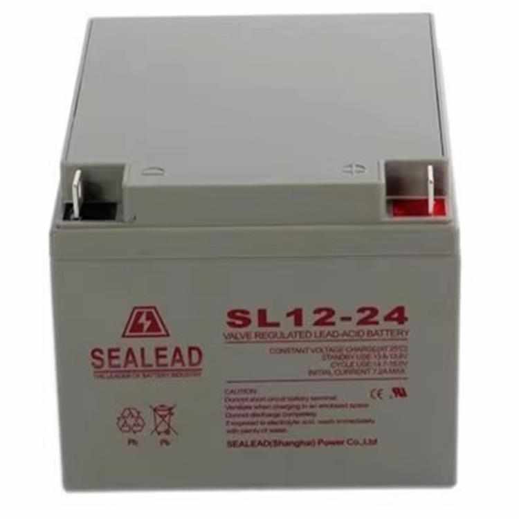 SEALEAD西力达蓄电池SL12-38 12V38AH65A100A120A150A200AH直流屏