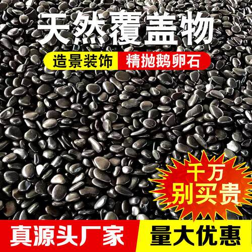 黑色鹅卵石庭院铺地花园造景装饰砾石雨花石园林艺景观铺面小石头