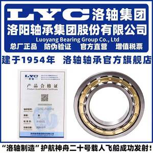 YS洛阳轴承研究所NN303830403044K/W33P5P4
