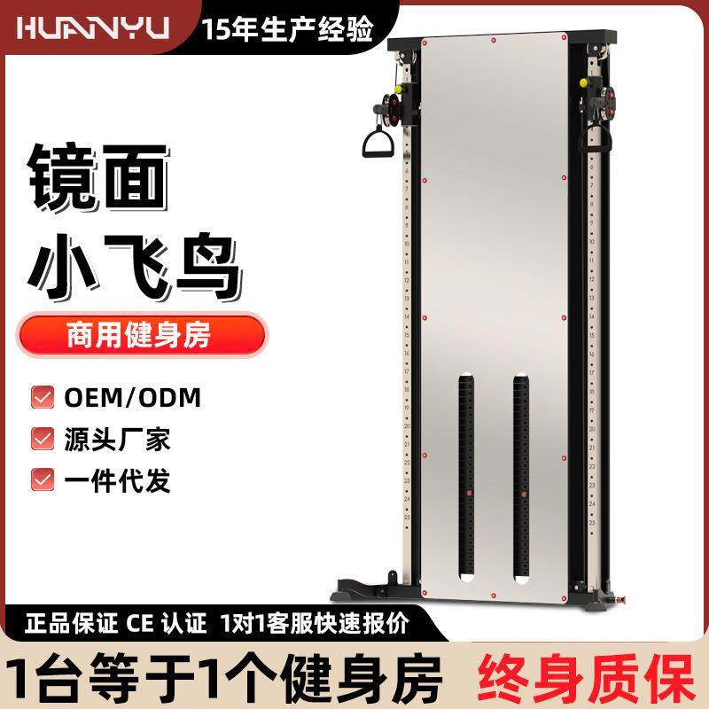 壁挂墙体小飞鸟龙门架单边贴墙飞鸟综合训练器镜面飞鸟健身架家用