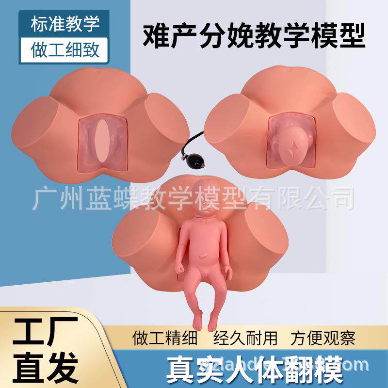 孕妇难产示教模型分娩教学模具难产助产示教训练生产分娩演示肩产