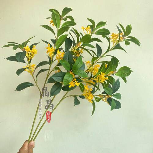 仿真桂花假花树叶干花摆件摄影客厅装饰家居装饰道具中式插花绿植