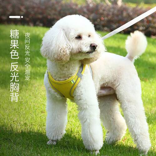 狗狗背心式牵引绳小型犬猫咪遛狗牵引绳泰迪外出防挣脱反光胸背带