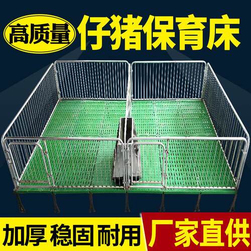 热镀锌保育栏小猪保育床全复合双体仔猪保育床猪用保育床
