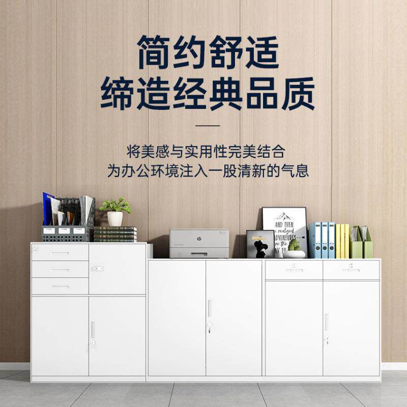 文件柜办公室铁皮柜子资料柜档案柜会计财务收纳柜矮柜多斗凭证柜