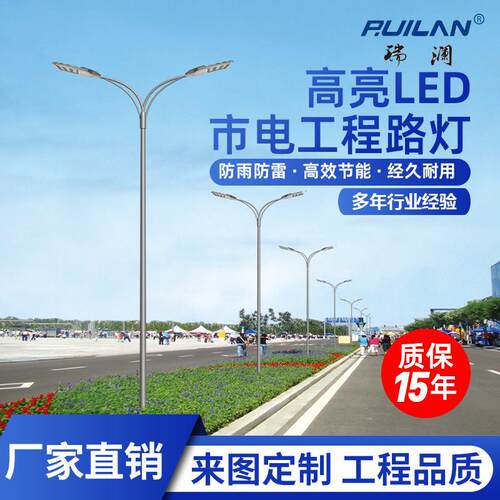 LED路灯道路单双臂市电6米8米10米照明灯30W60W100W路灯杆超亮