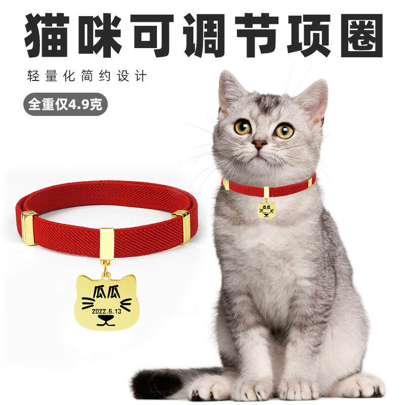 猫咪防丢失定制身份牌小型犬简约项圈狗狗牌子宠物链松紧带不勒脖