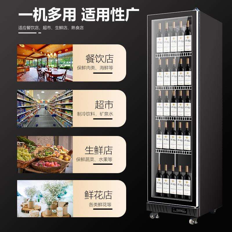 立式饮料柜网红酒水柜节能展示柜商用冷藏柜大容量啤酒柜双门冰柜