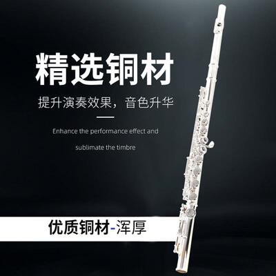 正品正品原装笛TAAN 长乐器C调 16/17开闭孔银E镀键初学考级演奏