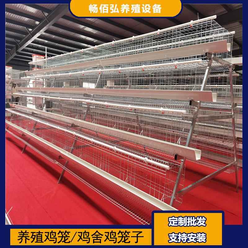 4层5门阶梯蛋鸡笼养殖工厂阶梯型A型鸡笼鸡窝热镀锌可供外贸