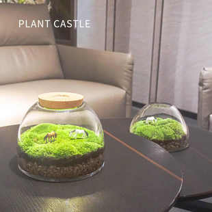 微景观玻璃瓶苔藓闷养盆器玻璃容器微观生态瓶瓶子花盆微景缸空瓶
