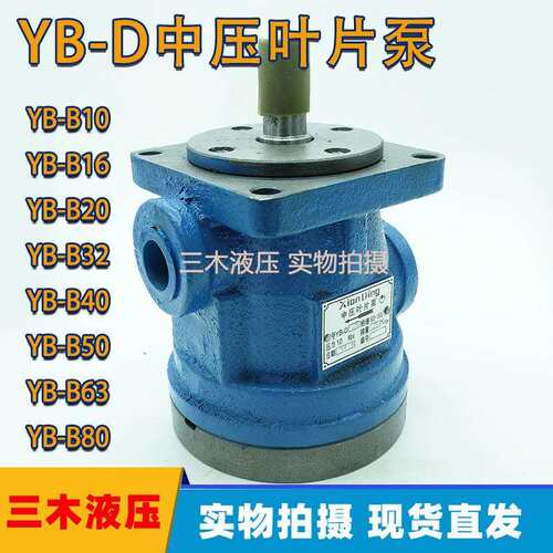高压叶片泵YBD-10.YBD-16,YB-D20,YBD-25,YBD-100中压叶片泵