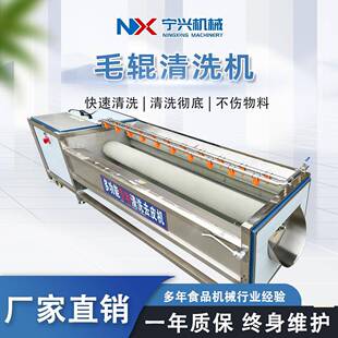 宁兴小型花生鲜花生去泥设备水萝卜清洗设备多用途毛辊清洗机