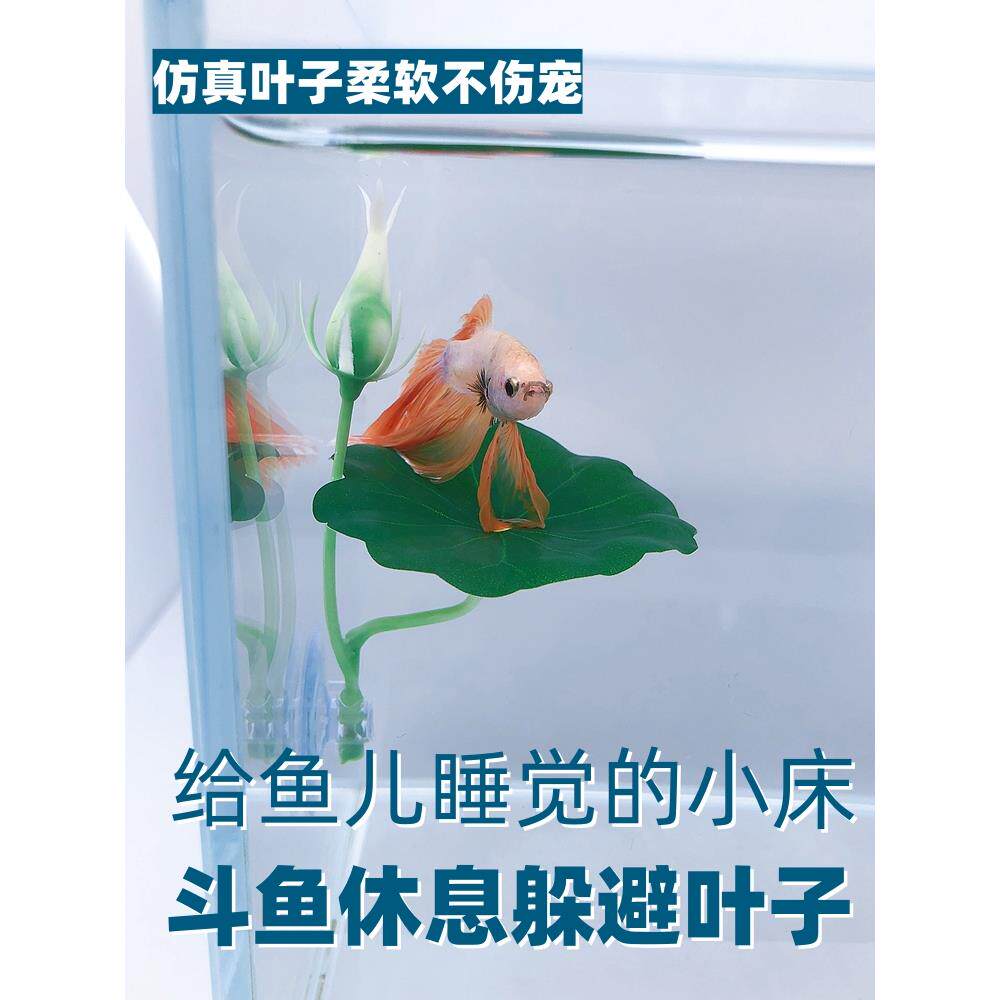 斗鱼休息懒人叶子产卵叶仿真水草观赏装饰树叶躲避睡觉床鱼缸造景