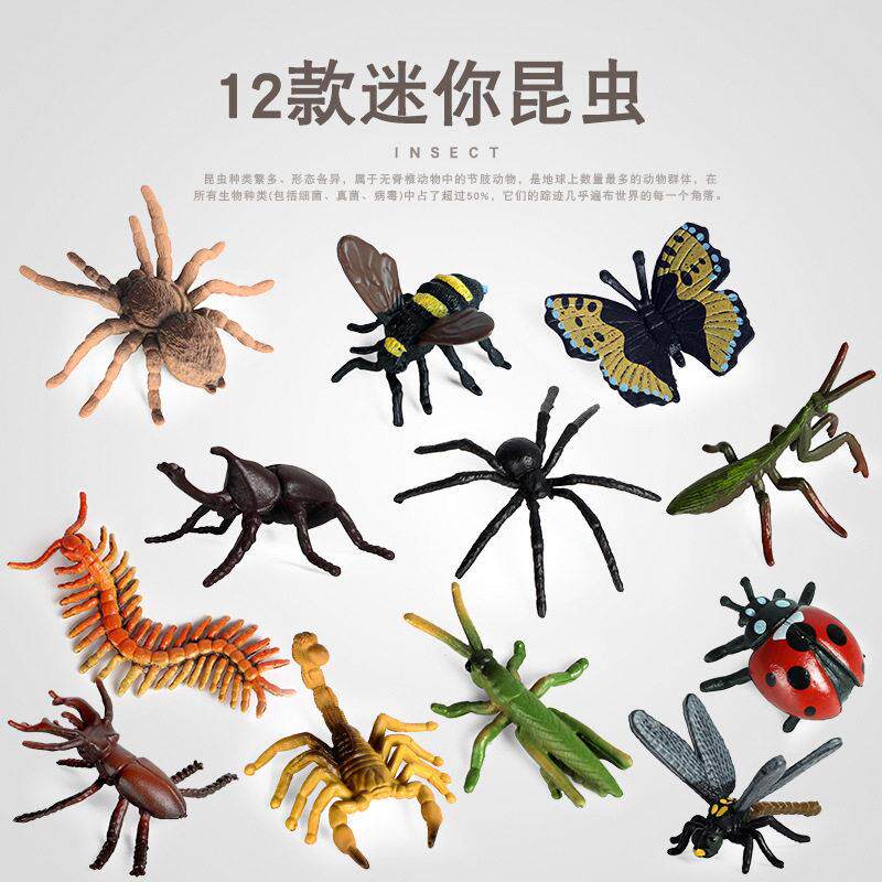 跨境仿真迷你昆虫动物模型创意摆件螳螂蝎子蜈蚣蜻蜓蝴蝶蜜蜂套装