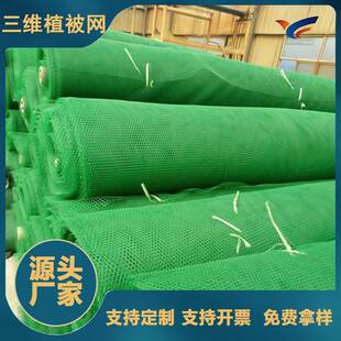 批量出售绿化草坪三维植被hdpe排水网护坡种草EM1-EM5三维网垫