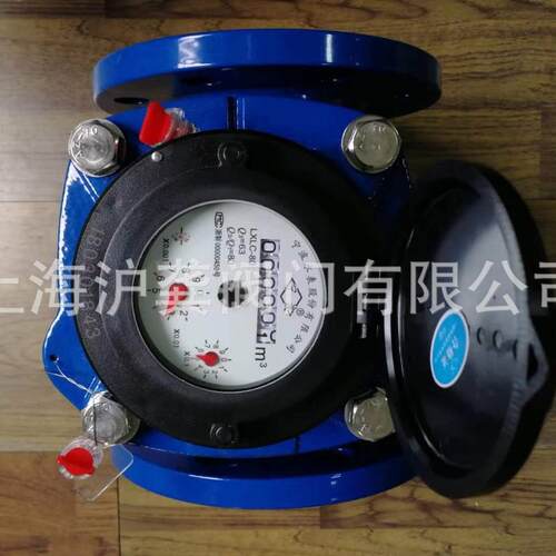 宁波沪环水表LXLC-80 100 可拆卸水表 螺翼干式水表50 65 150 200