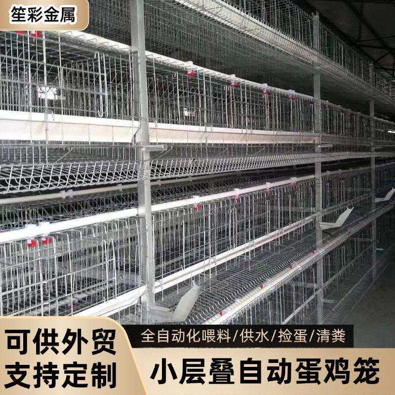 蛋鸡笼养殖小层叠养殖场全自动化机械设备H型立式农场养鸡笼子
