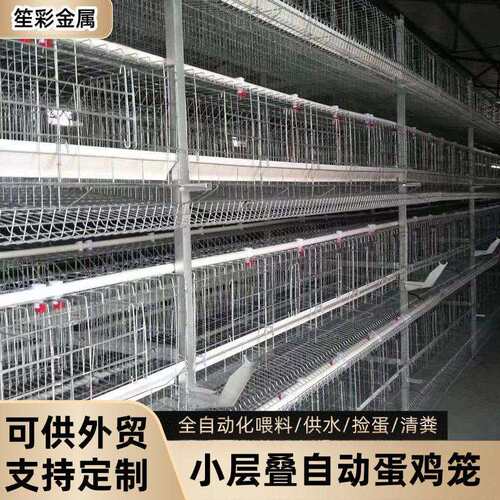 蛋鸡笼养殖小层叠养殖场全自动化机械设备H型立式农场养鸡笼子