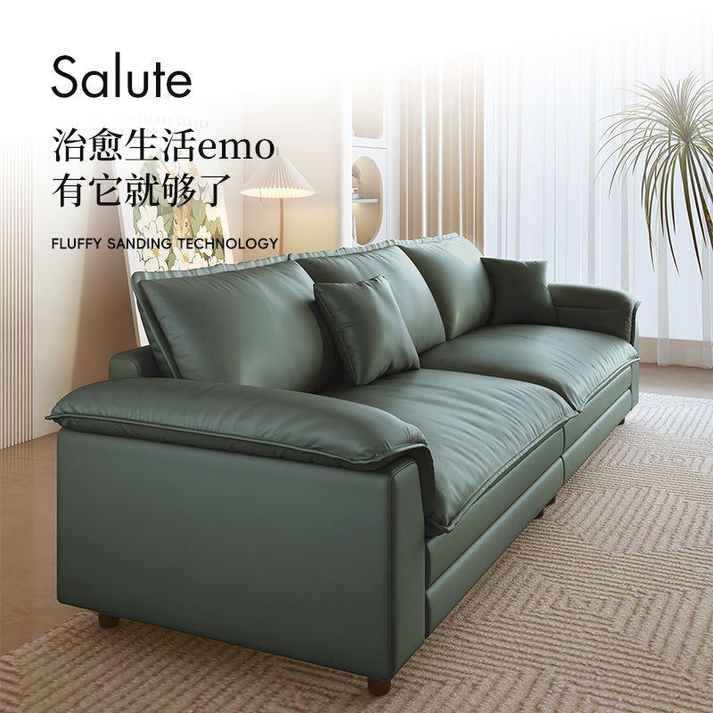 大象耳朵沙发意式极简baxter布艺沙发客厅小户型网红科技布沙发