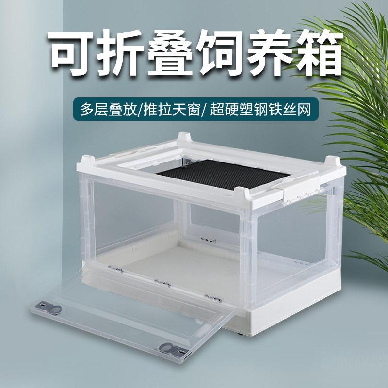 带透气孔仓鼠笼子金丝熊芦丁鸡饲养箱盒花枝鼠刺猬饲养箱可折叠
