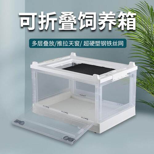 带透气孔仓鼠笼子金丝熊芦丁鸡饲养箱盒花枝鼠刺猬饲养箱可折叠