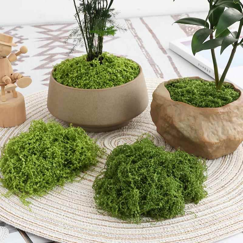 丝状彷真苔藓彷生人造草坪假青苔DIY微景观装饰材料盆栽铺面造景