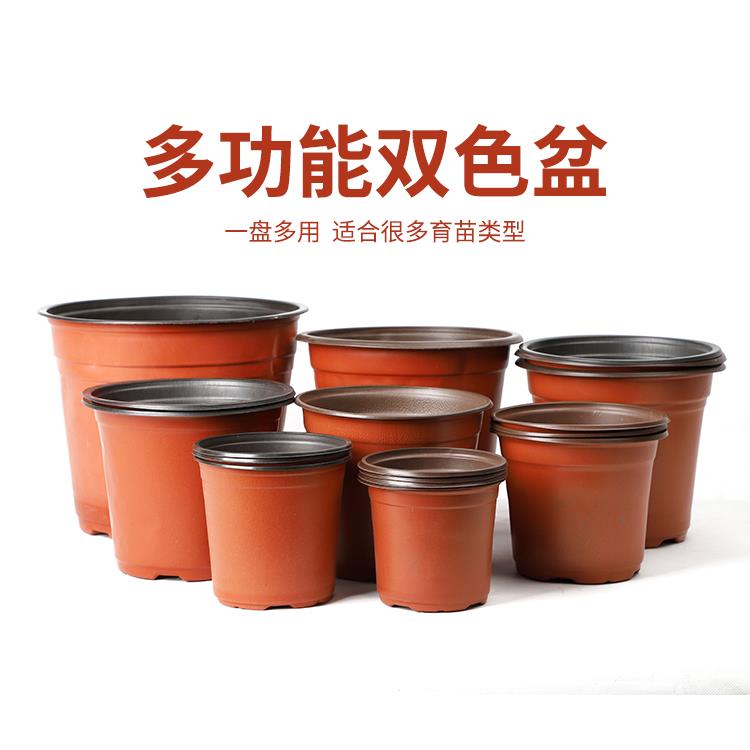 双色盆营养钵育苗盆扦插简易塑料种植一次性大号加厚育苗盆栽花盆