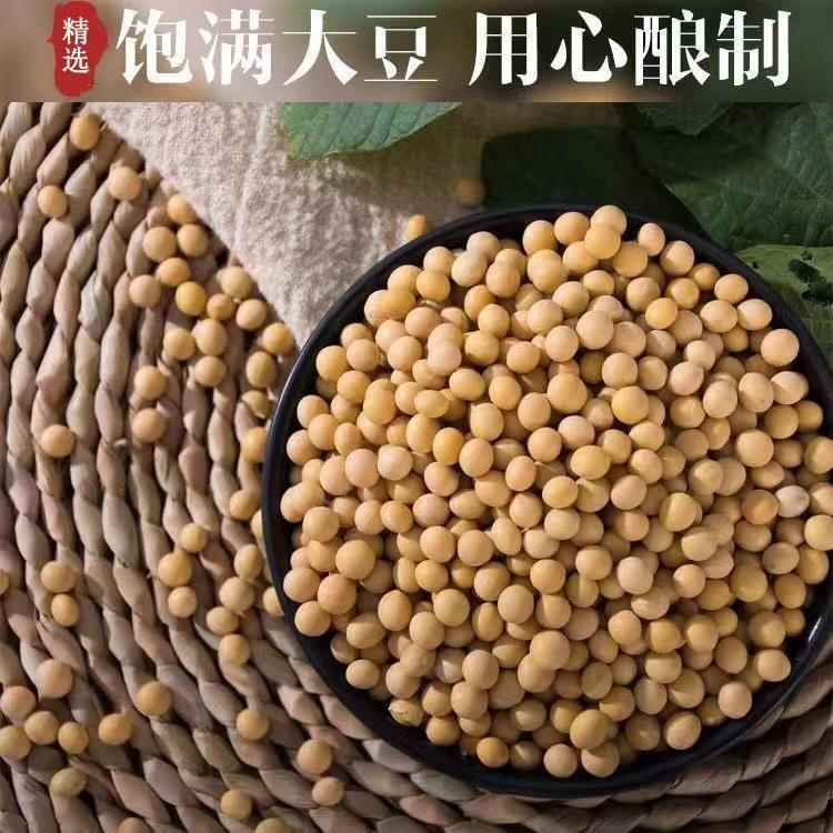 正宗四川豆豉1斤袋装原味酱香风味豆豉调料特产麻辣豆瓣酱辣椒酱