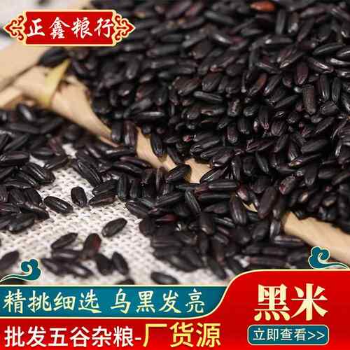 东北黑米 现货供应黑香米五谷杂粮黑大米袋装50斤