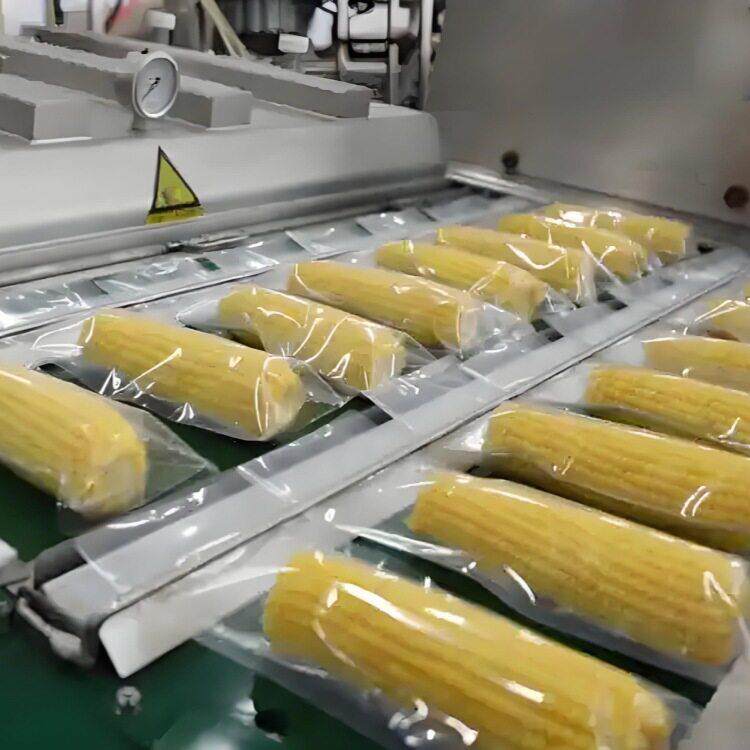 鲜玉米生产线甜糯玉米加工设备竹笋藕片玉米漂烫蒸煮机流水线