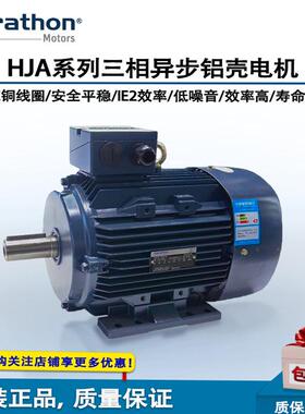 marathon马拉松HJ112M-2铝壳三相异步低压高品质静音节能型电机