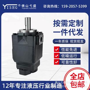带尾驱动叶片泵T6ER-042 45 50 57 62 66 72 85-3R00-C42-A1串泵