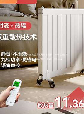 阿洛德注水式电暖气片家用节能取暖器加水电暖器水循环采暖加铁名