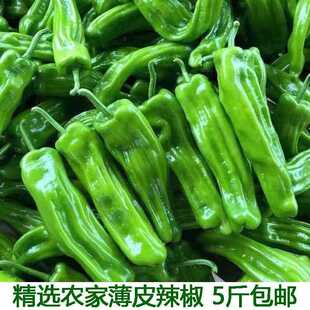 新疆西藏包邮虎皮青椒湖北宜昌农家自种新鲜蔬菜薄皮大辣椒当季时