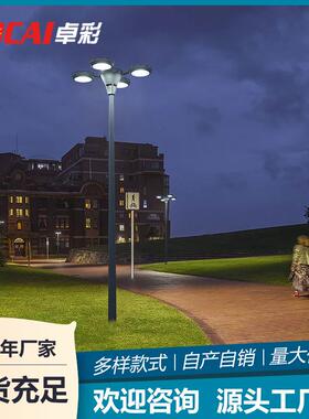 太阳能庭院灯3米户外防水家用高杆室外感应花园别墅照明小区路灯