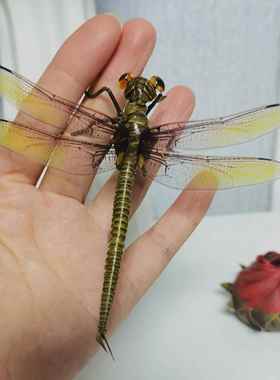 中国非遗文化工艺礼品摆饰创意礼品草编昆虫彷真蜻蜓家居小摆件装