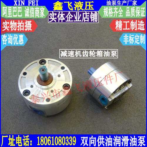 LB-BB16/BB20/BB25/BBS-16/20/25摆线齿轮泵齿轮箱油泵减速机泵JZ