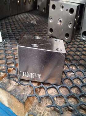 山东泰丰液压TAIFENG供应TLFA025DBU-7X-SM 型盖板厂家直销